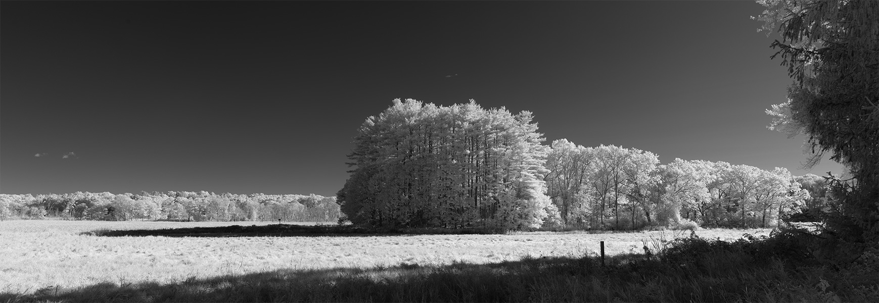Pnaoramic Infrared Photo of Field and Trees.